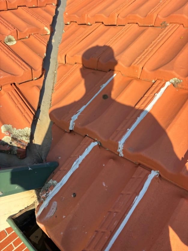 Roof repair hoppers crossing