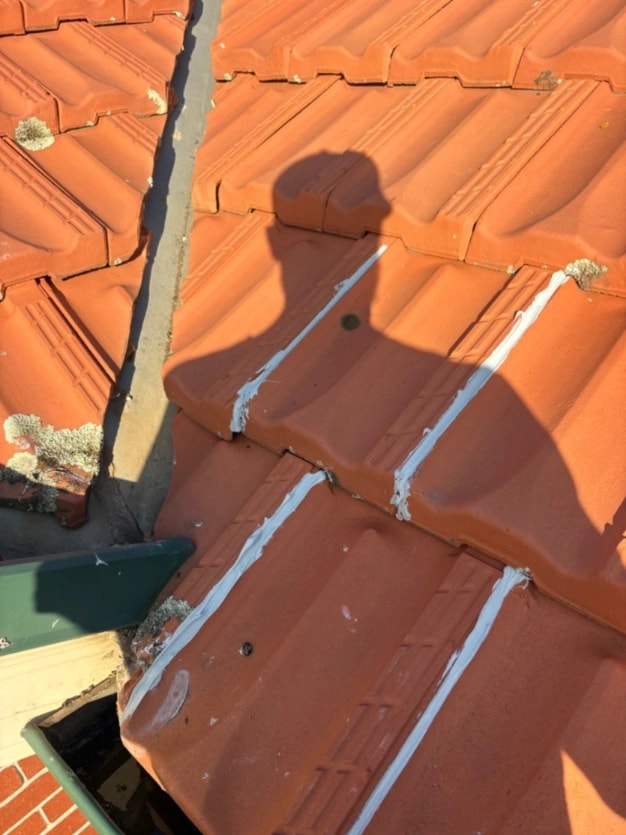 Roof repair hoppers crossing